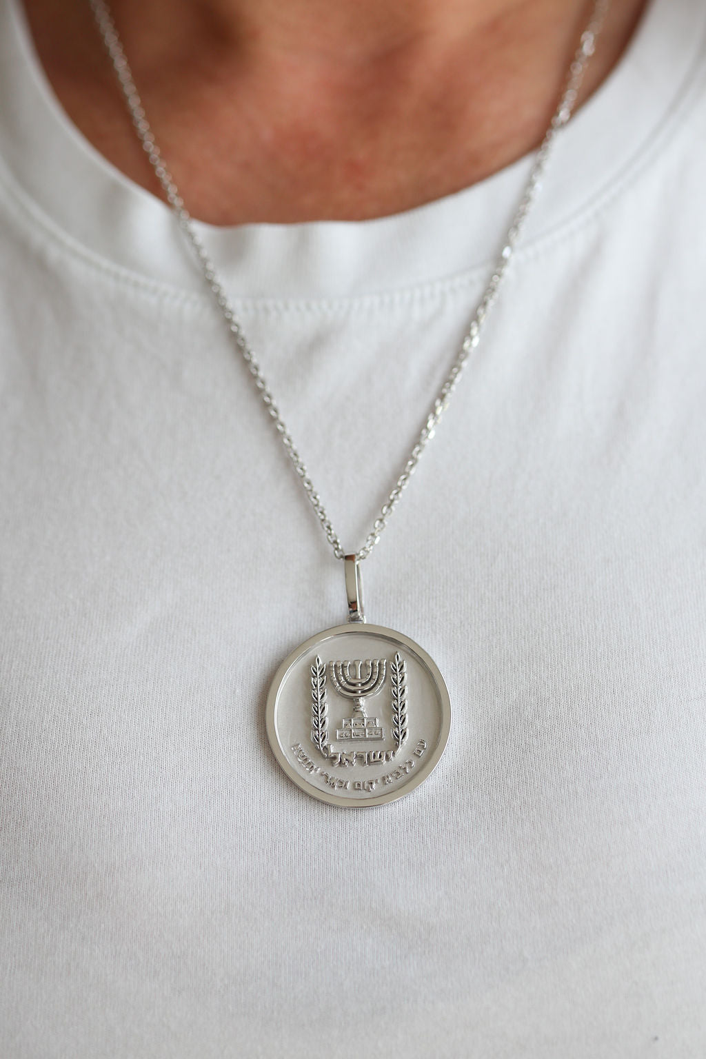 The Emblem of Israel