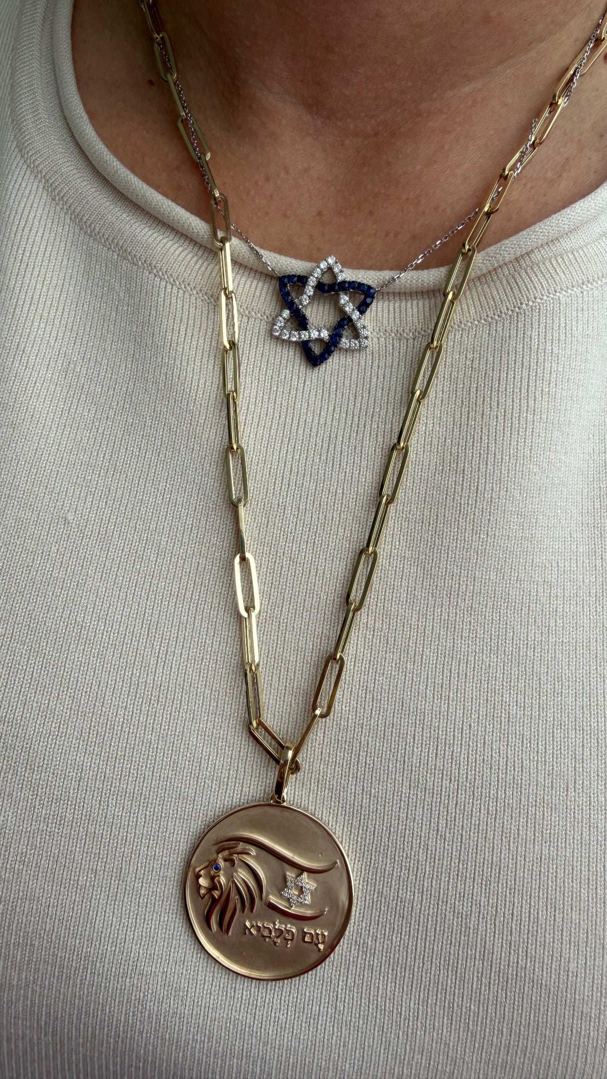Lion Medallion