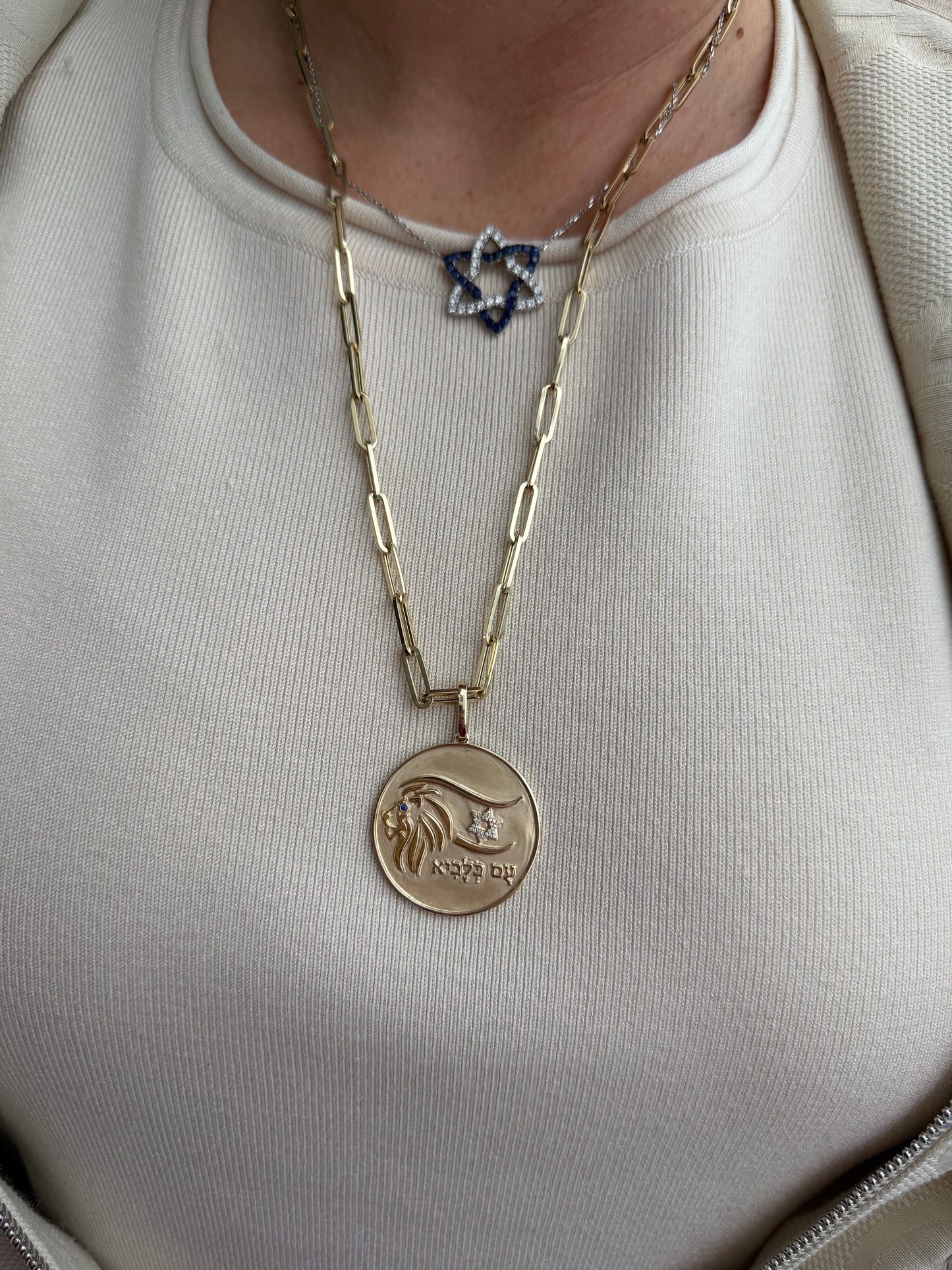Lion Medallion