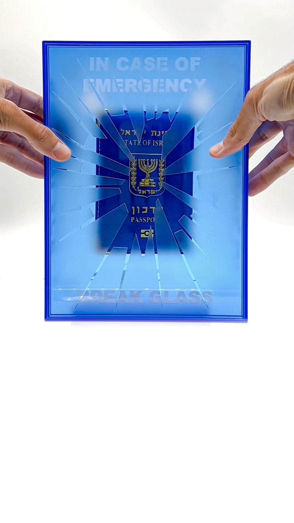 In Case of Emergency, BREAK GLASS; Israeli Passport edition