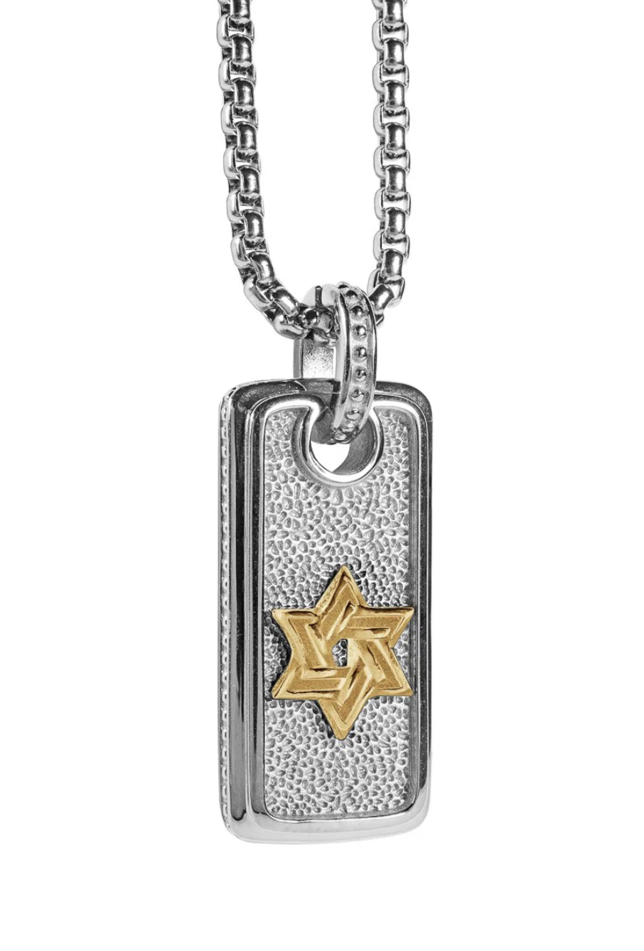 Steel Polished Star of David Dog Tag