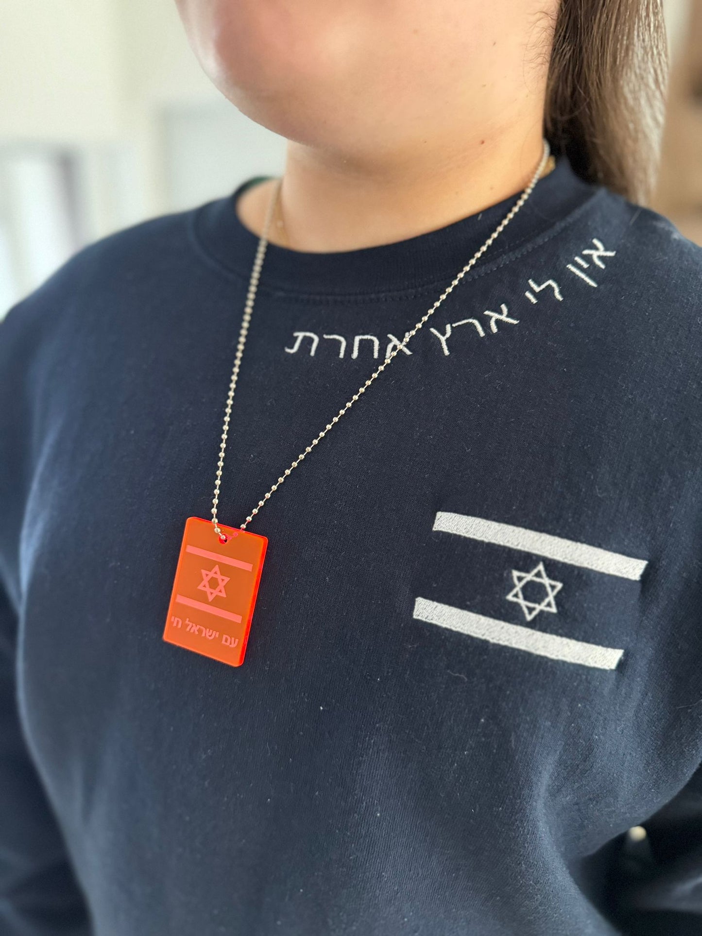 Am Israel Tag- Mitzvah Project